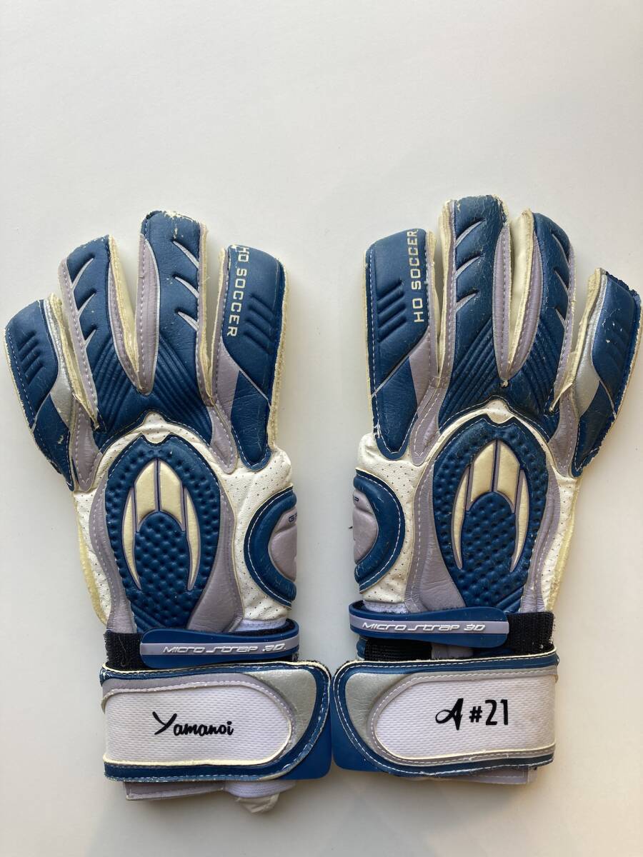 [ charity ] mountain no...( Kanazawa ) autographed GK glove 169