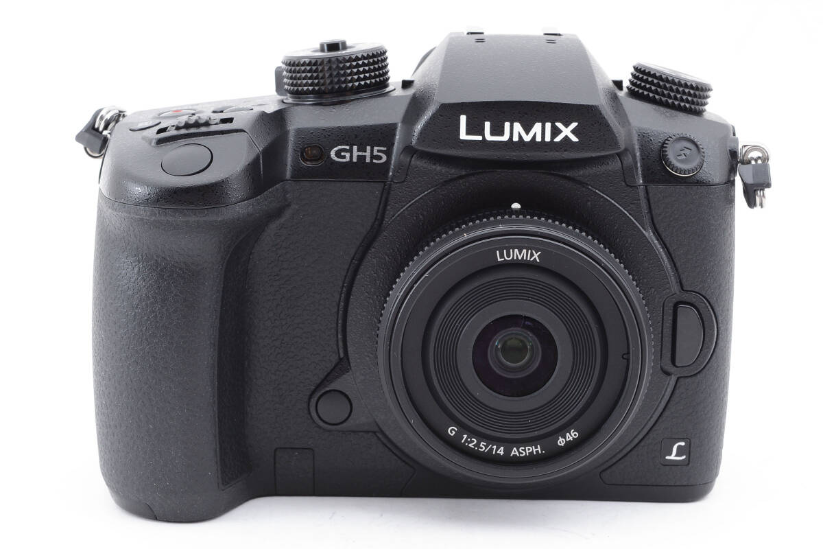 【動作未確認】Panasonic Lumix DC-GH5 / Lumix G 14mm F2.5 Asph_画像3