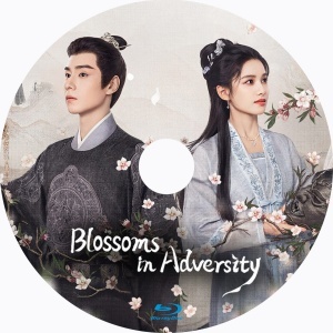 Blossoms in Adversity(自動翻訳)『ナス』中国ドラマ『みかん』Blu-ray「Hot」★5/16以降発送_画像2