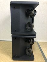 BOSE Bose 301 -AV MONITOR speaker pair 