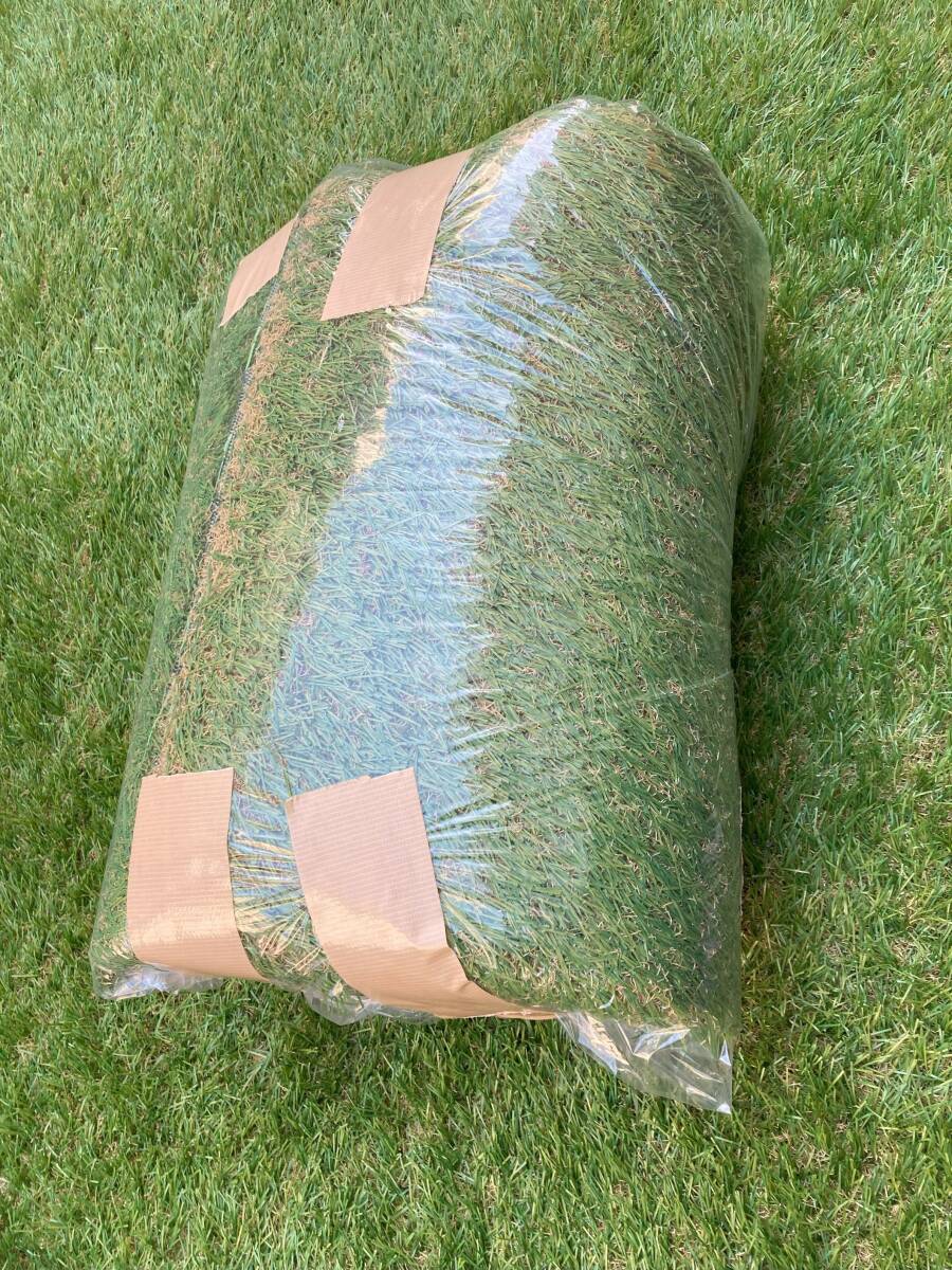 * modern deco artificial lawn 198cm×33cm high endurance lawn grass height 35mm high density 44 ten thousand book@ fresh green 