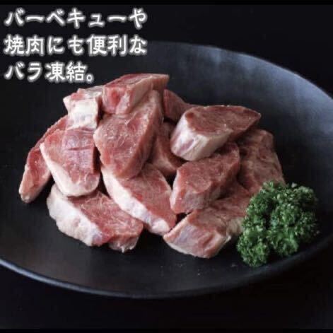 大容量1kg 訳有 一口 カット 牛フィレ ステーキ 規格外 不揃い わけありグルメ （加工牛肉）の画像5