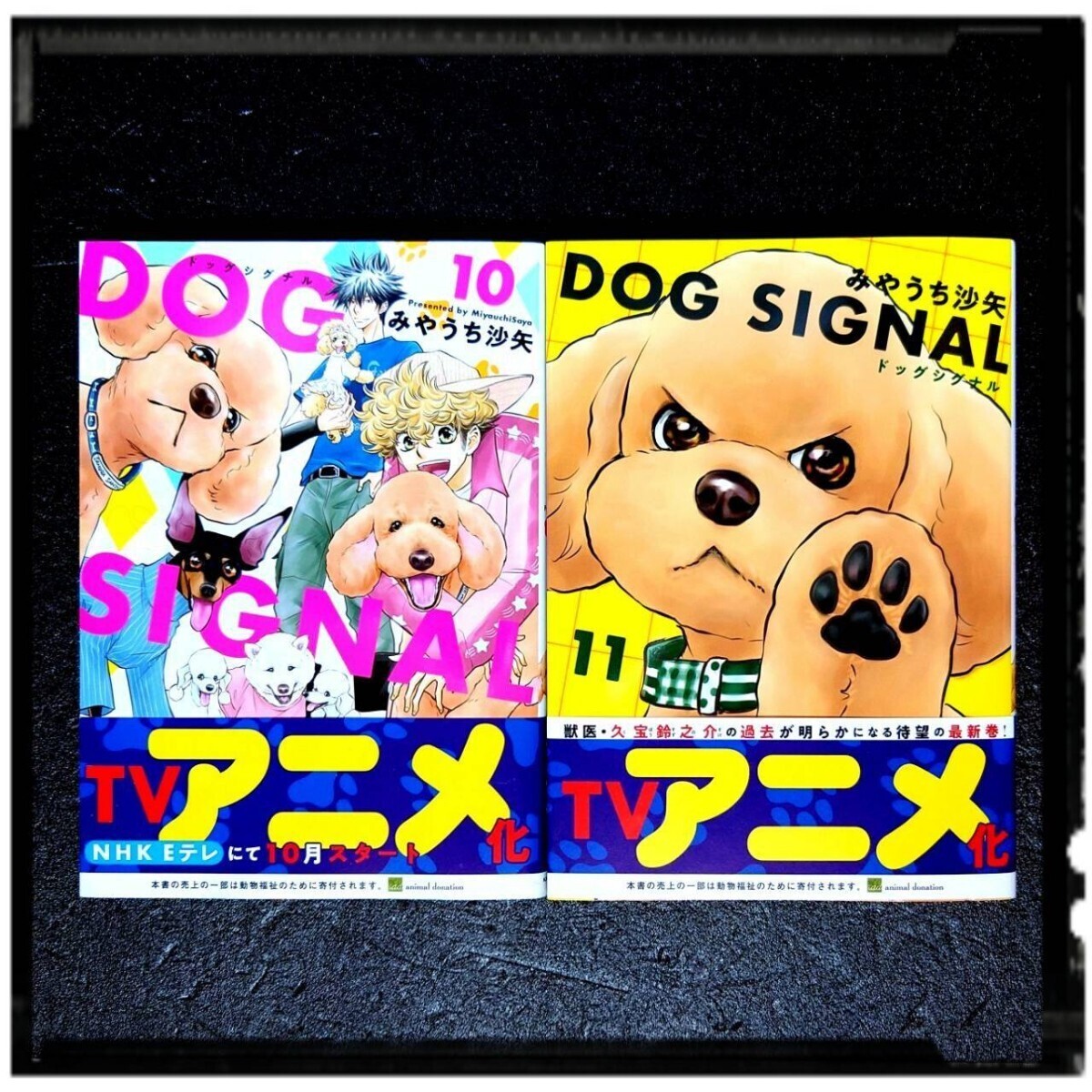 ★クーポン利用でお得★ 新品未使用 「DOG SIGNAL」 10~11巻 みやうち沙弥 初版 帯付　②_画像1