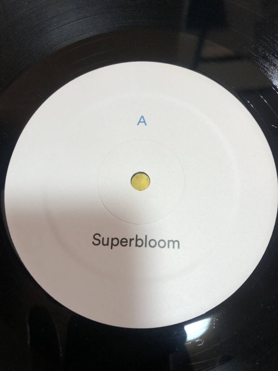 KIEFER SUPERBLOOM LP（中古品）の画像3