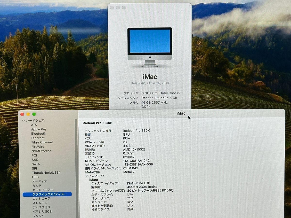 ★Apple iMac (Retina 4K, 21.5-inch, 2019)★i5-8500 6コア 3.00GHz/16GB/1TB+32GB FusionDrive/Radeon Pro 560X/macOS Sonoma★0409-Iの画像2