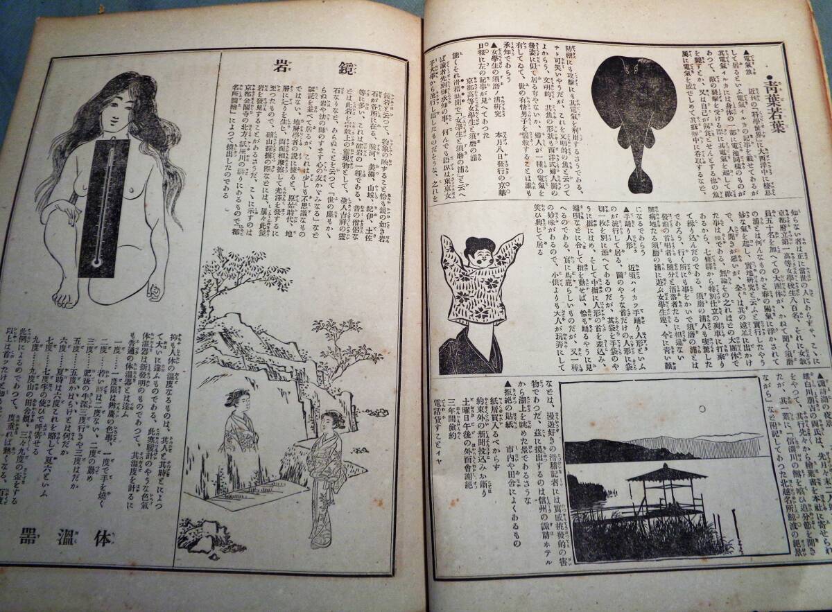 ●雑誌    滑稽新聞   第162・163・140・147・148號   5冊の画像6