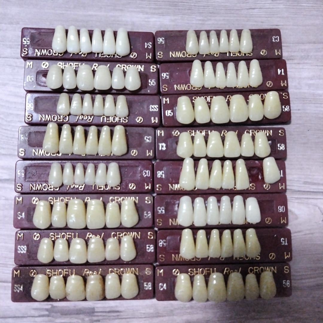 歯科技工士 入れ歯 差し歯 乳歯 大量セット まとめ 模型 レジン歯 カスタムドール 歯科学の画像1