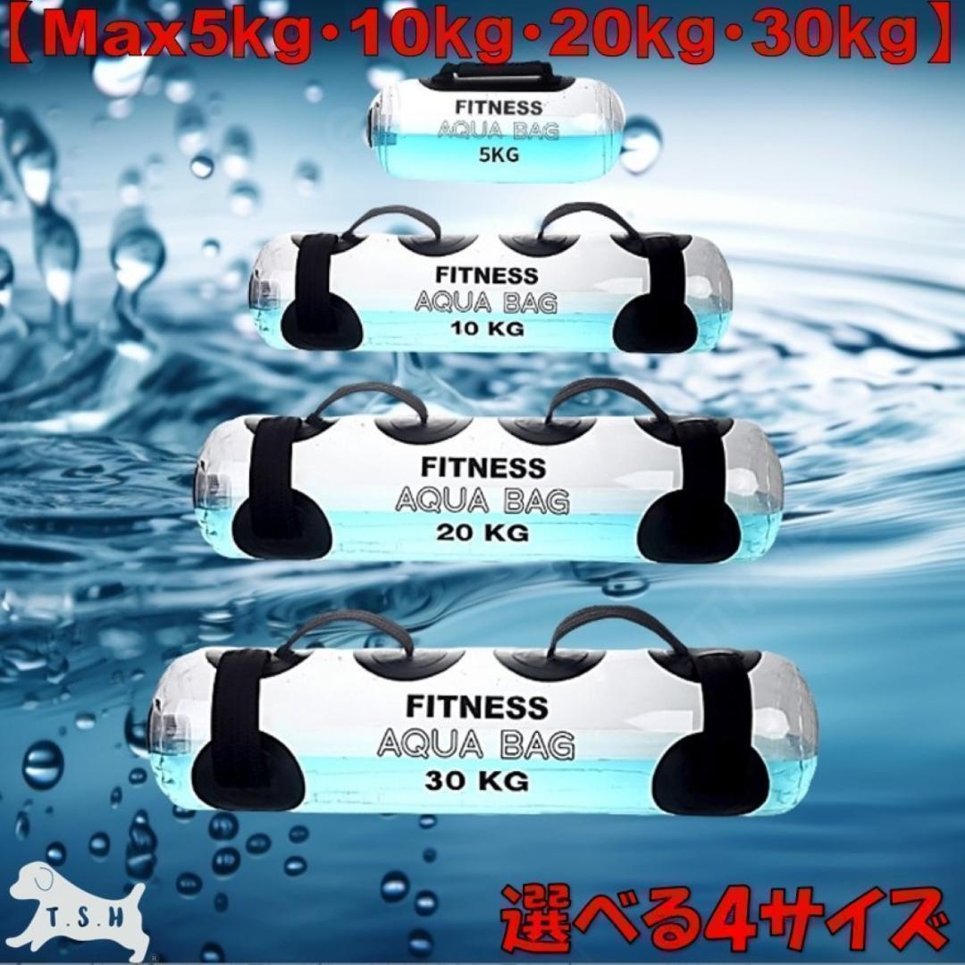 ５ｋｇ　ウォータートレーニングバッグ　専用フットポンプ付き　体幹トレーニング_画像4