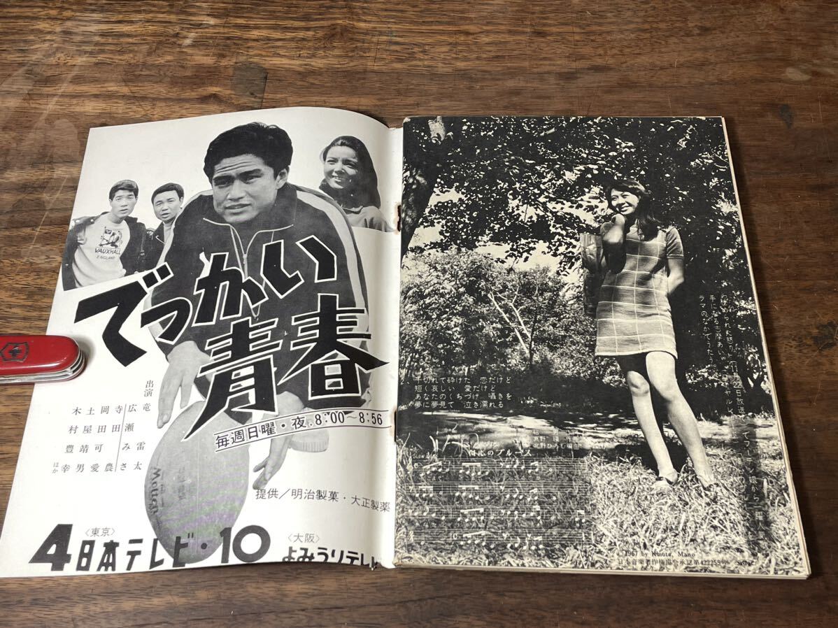 TVガイド　1967年 11月10日号　丹羽哲郎　天知茂_画像5