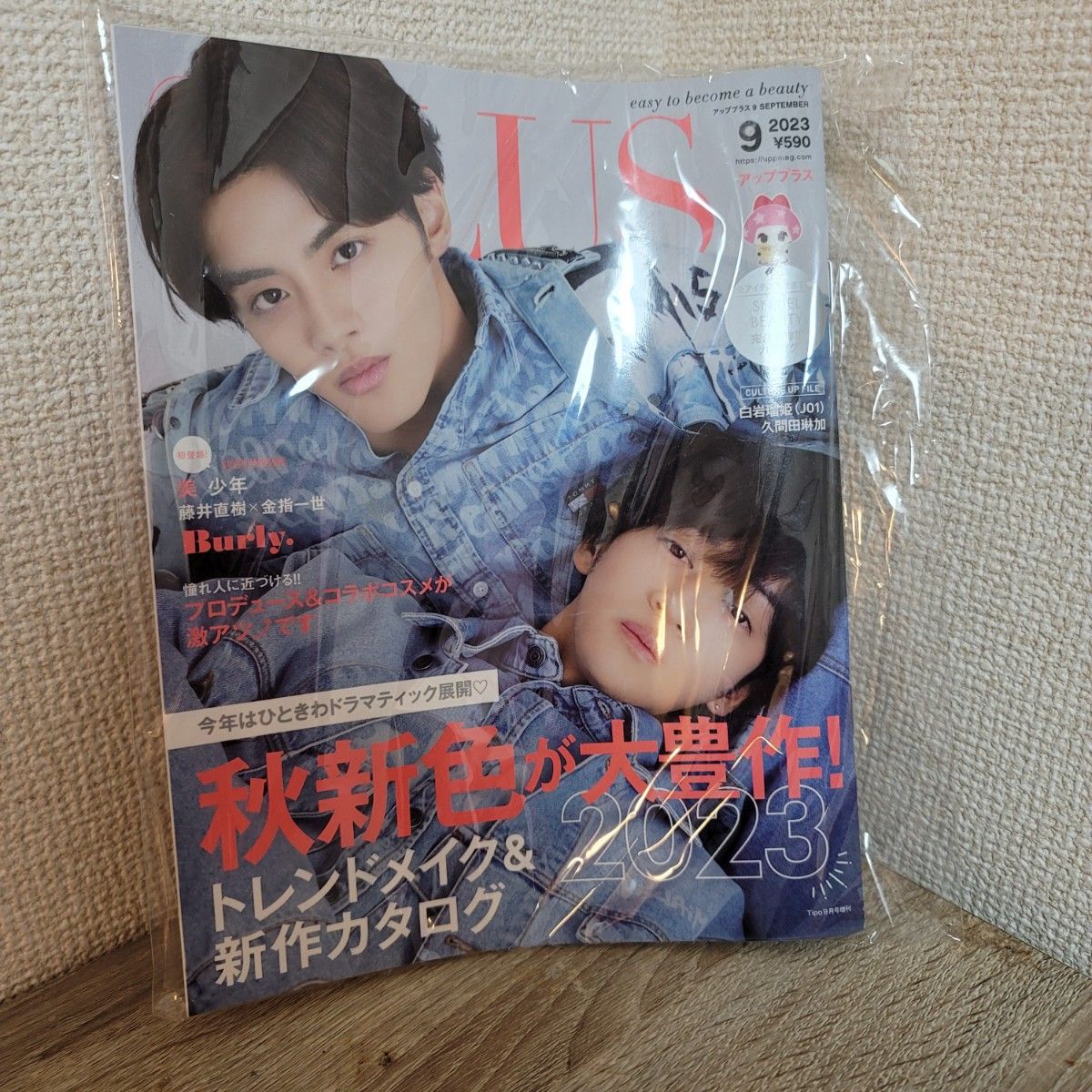 Ｔｉｐｏ増刊 ｕｐ　ＰＬＵＳ　９　ＳＥＰＴＥＭＢＥＲ　２０２３ ２０２３年９月号 （ネコ・パブリッシング） 雑誌 表紙