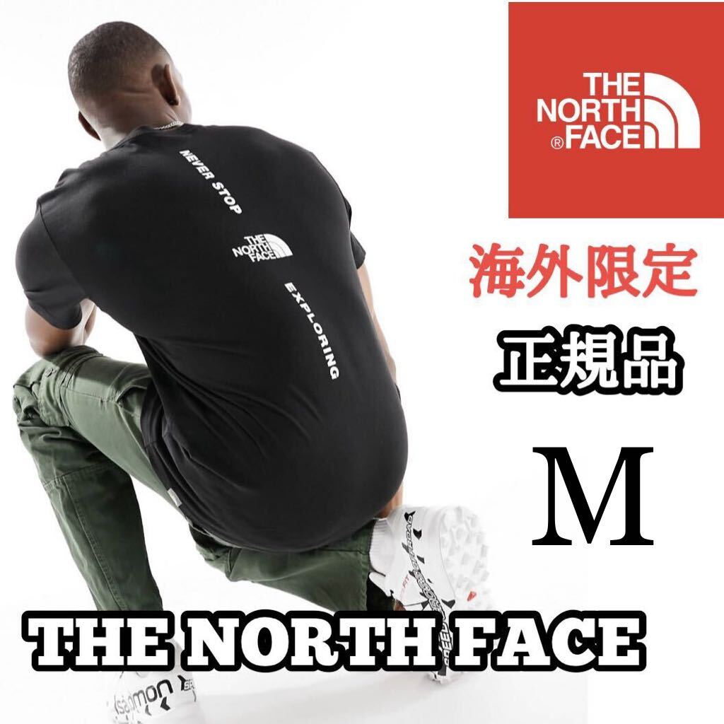 THE NORTH FACE ザ ノースフェイス VERTICAL NSE メンズ 半袖 Tシャツ バッグデザイン 海外限定 正規品 完売品 ブラック 黒 S M コットンの画像1