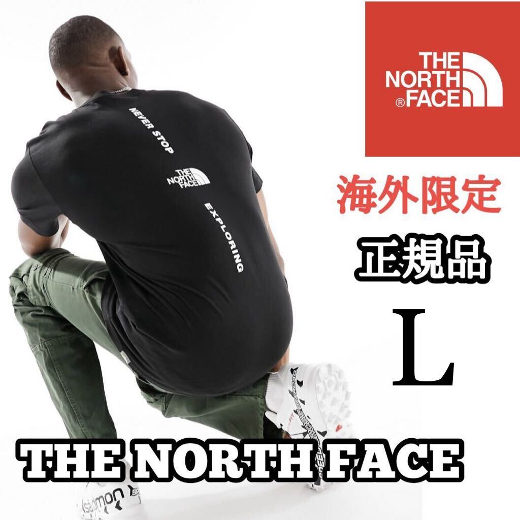 THE NORTH FACE ザ ノースフェイス VERTICAL NSE メンズ 半袖 Tシャツ バッグデザイン 海外限定 正規品 完売品 ブラック 黒 M L コットンの画像1