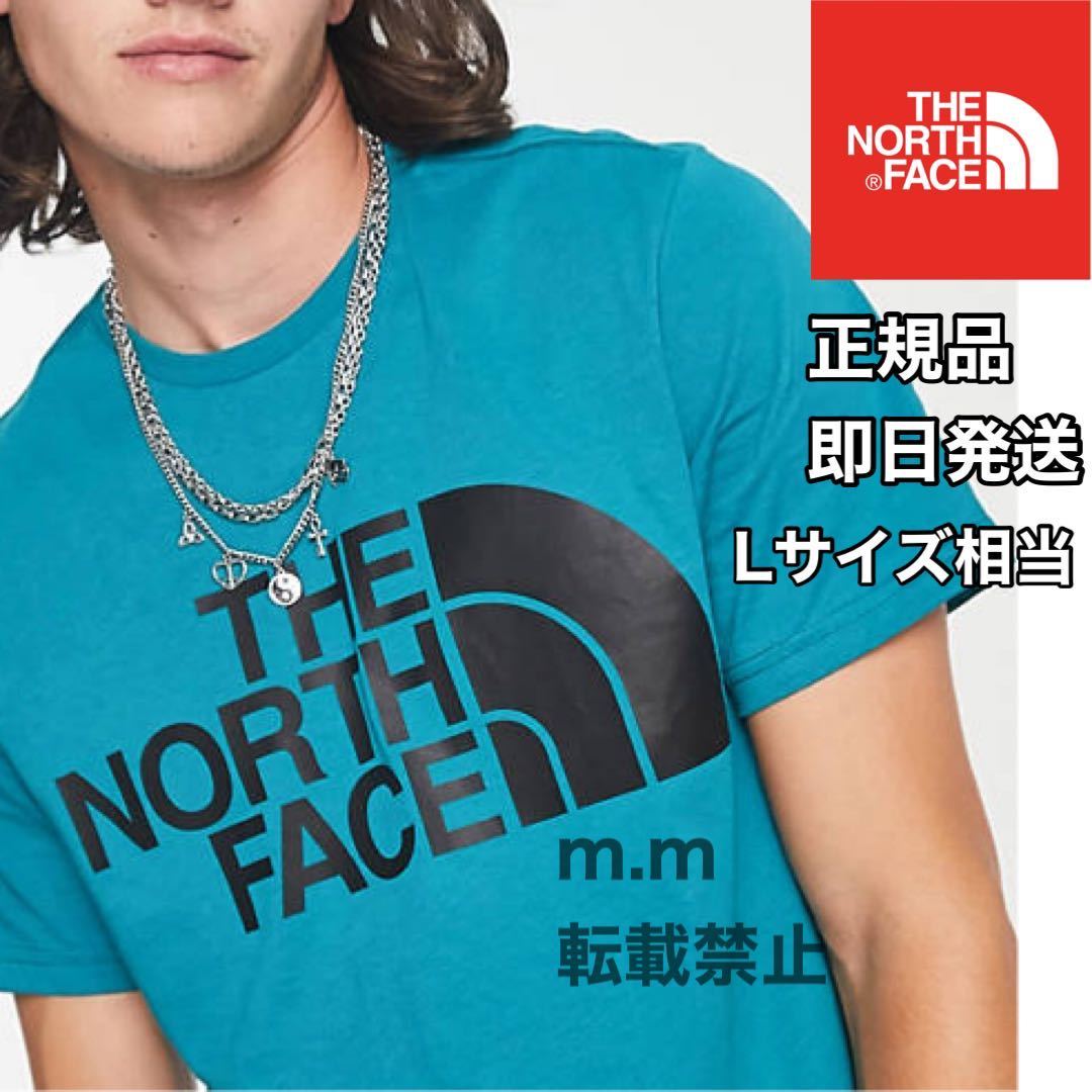 THE NORTH FACE 日本未発売 ザノースフェイス メンズ レディース 半袖 Tシャツ ハーフドーム L ビッグロゴの画像1
