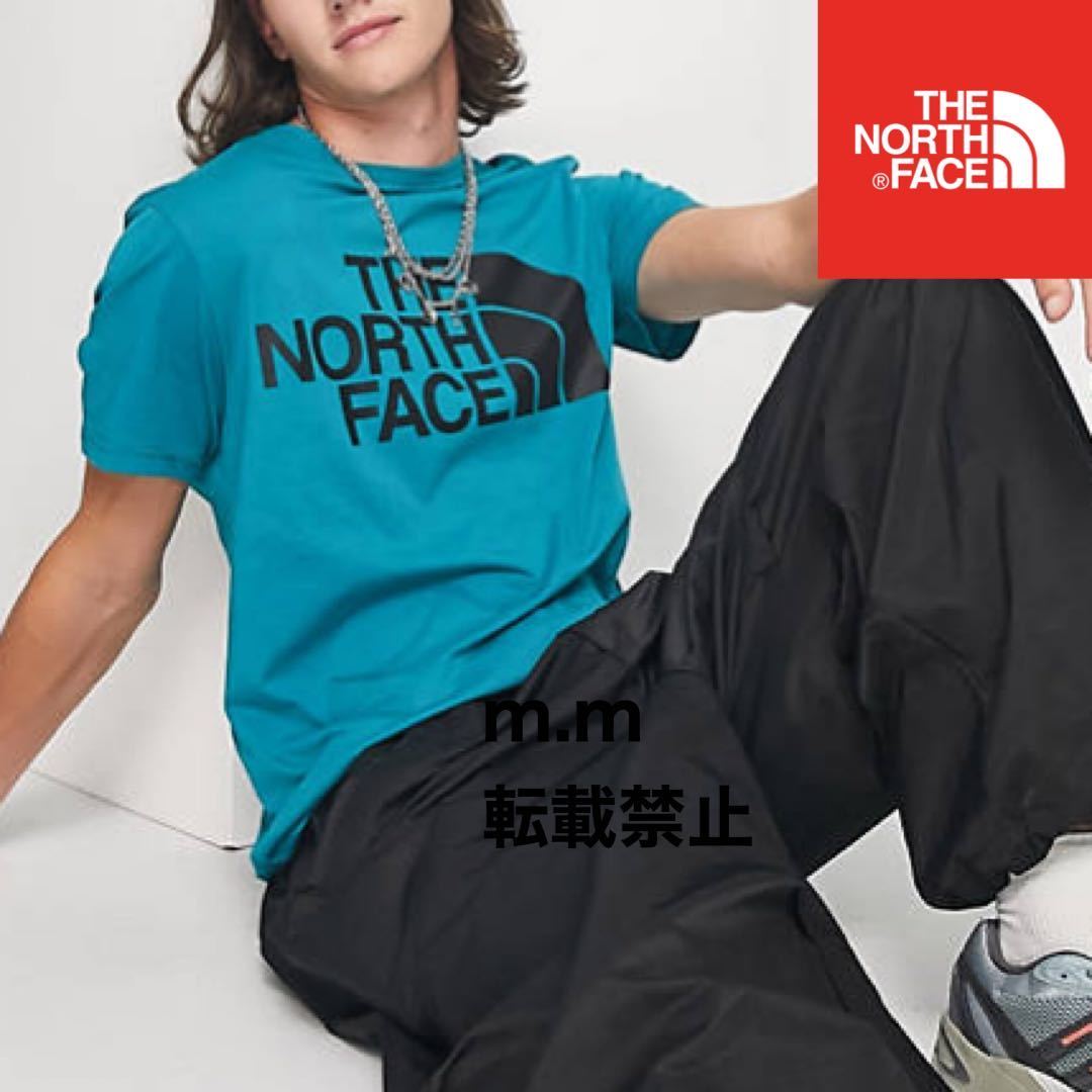 THE NORTH FACE 日本未発売 ザノースフェイス メンズ レディース 半袖 Tシャツ ハーフドーム L ビッグロゴの画像2