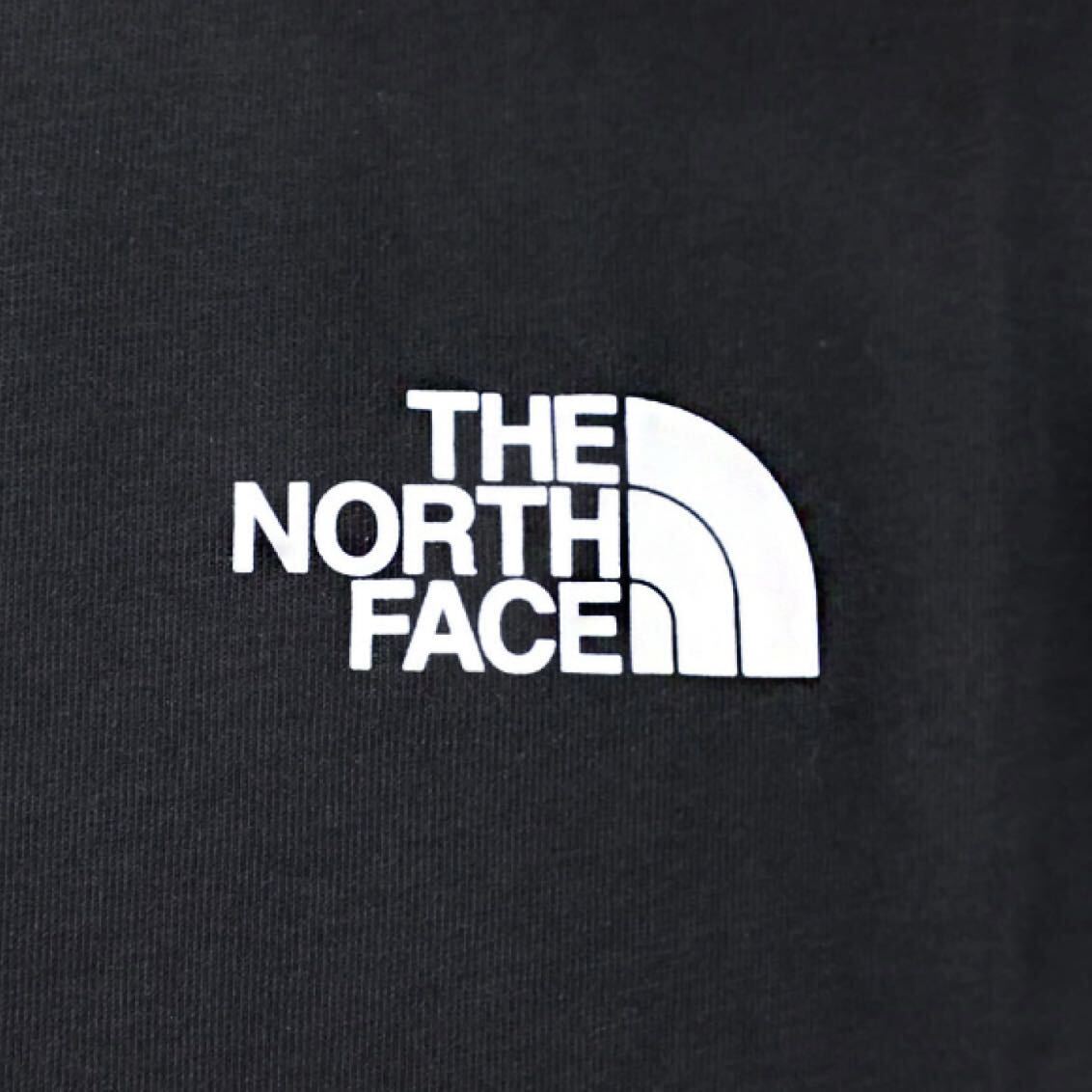 THE NORTH FACE ザ ノースフェイス VERTICAL NSE メンズ 半袖 Tシャツ バッグデザイン 海外限定 正規品 完売品 ブラック 黒 M L コットンの画像8