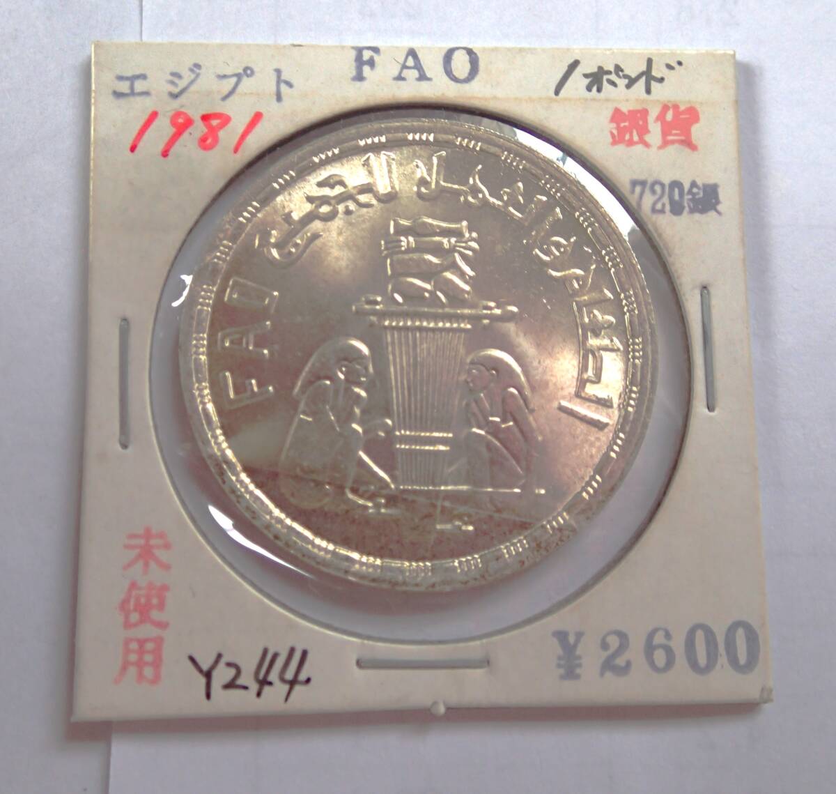 未使用.エジプト.FAO.1981年.１ポンド銀貨.720銀.重さ14.88g.直径3.4㎝.貨幣.銀貨.アンティークコイン.中東の画像1