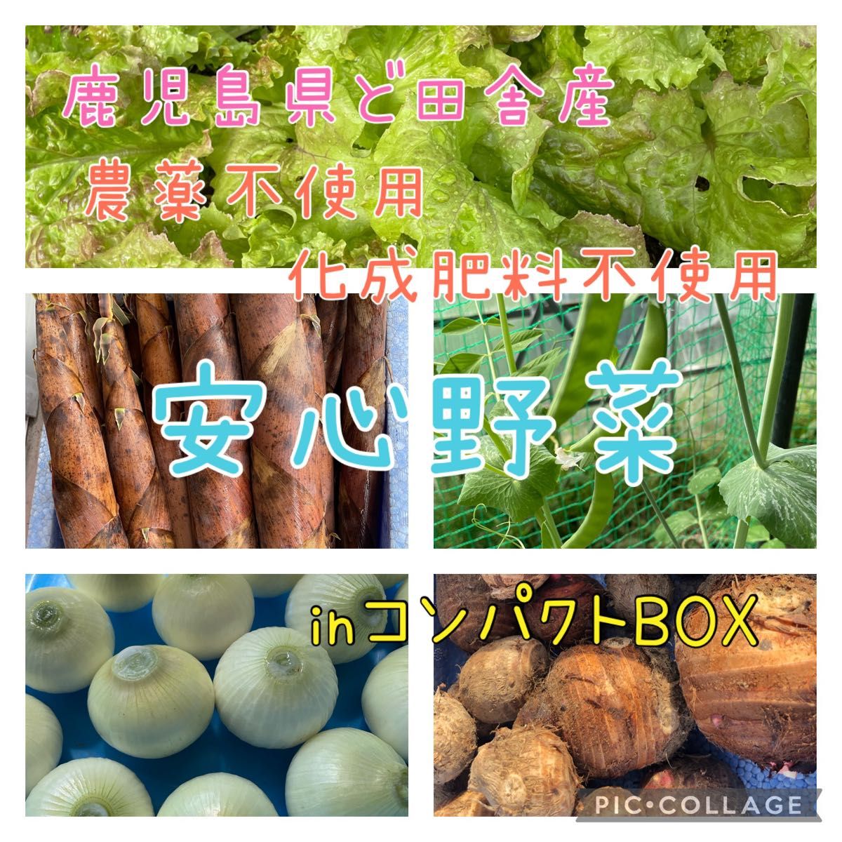 鹿児島県ど田舎産 安心野菜inコンパクトBOX♪
