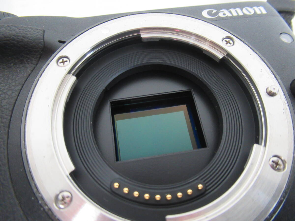 【Canon/キヤノン】卯⑤15//CANON EOS M3 CANON LENS EF-M 22mm 1:2STM_画像3