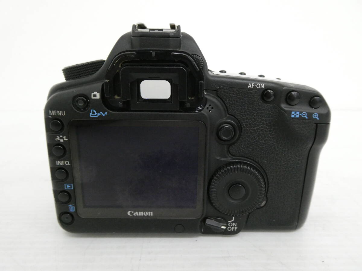 【Canon/キヤノン】卯①496//EOS 5D Mark Ⅱの画像4