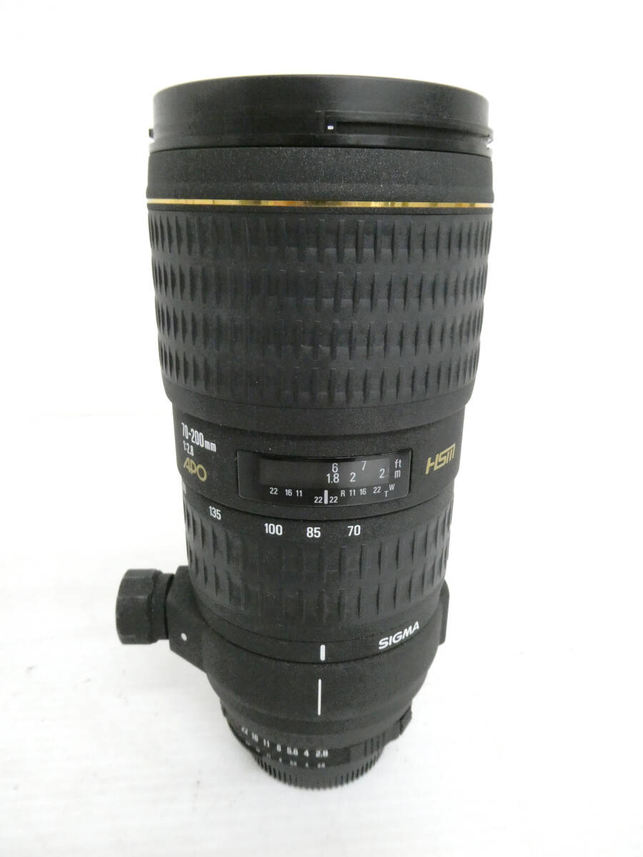 【Nikon/SIGMA】卯③205//SIGMA EX 70-200mm 1:2.8 APO HSM/Nikonマウントの画像6