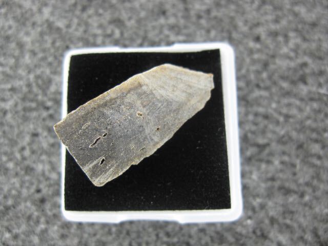 希少隕石　ドファール485　カット標本　　2.34ｇ_画像2