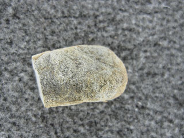 希少隕石　ドファール485　カット標本　　5.20ｇ_画像3