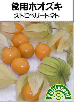 ＜野菜の種＞食用ほおずき ストロベリートマト ３０粒 ほうずきの画像1