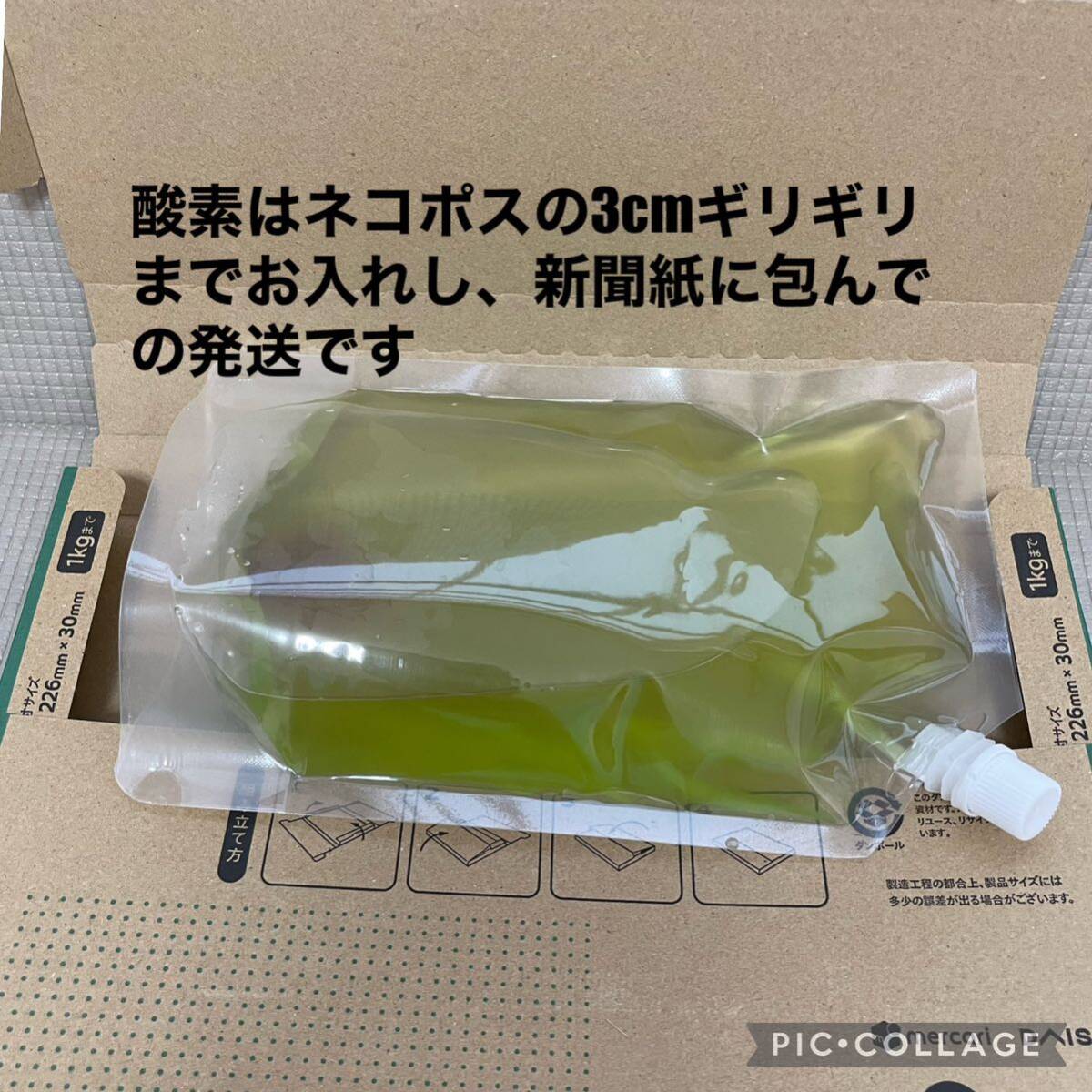 送料無料 良質 タマミジンコ 12,000匹 生き餌 加温メダカ 金魚 らんちゅう 産卵促進 色揚げに 栄養満点 育成スピードUPの画像4