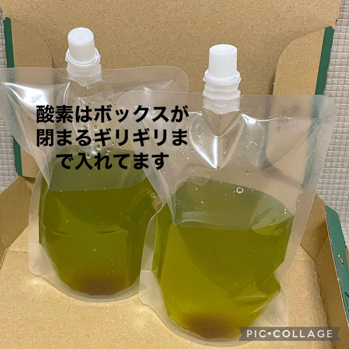 送料無料 良質 タマミジンコ 30,000匹 生き餌 加温メダカ 金魚 らんちゅう 産卵促進 色揚げに 栄養満点 育成スピードUPの画像5