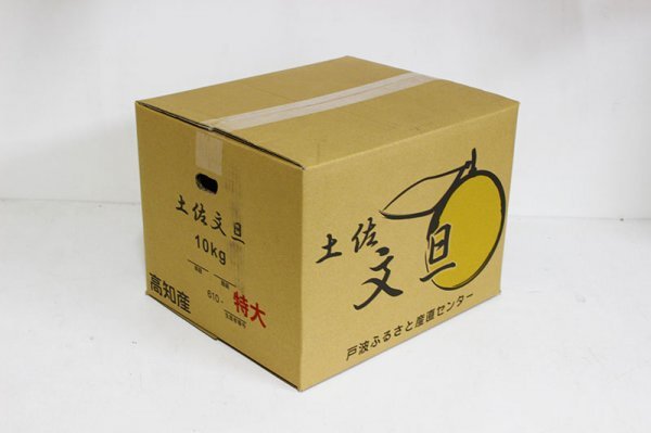【限定1箱】高知県特産 土佐文旦（ぶんたん）超ジャンボサイズ 5Lサイズ 約10kg 1円スタートの画像3