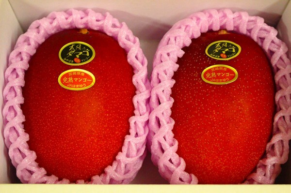 宮崎県特産 完熟マンゴー『太陽のタマゴ』 大玉3Lサイズ 2玉 化粧箱入 1円スタートの画像1