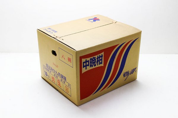 【1箱出品】香川県産 八朔（はっさく）超大玉 4Lサイズ 約10kg 1円スタートの画像3