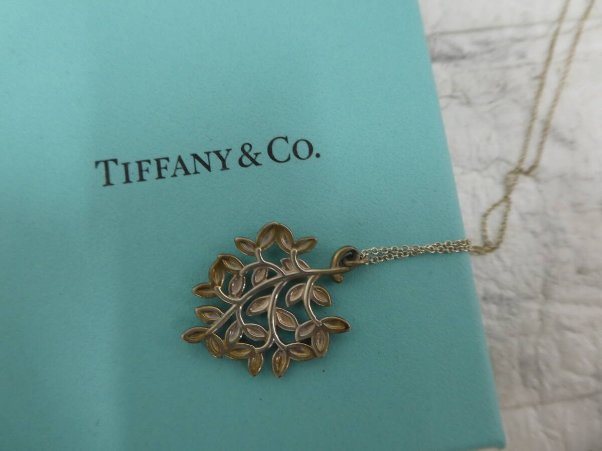 * Tiffany&Co. Tiffany Ag925o Lee Brief колье серебряный колье б/у товар 1 иен старт *