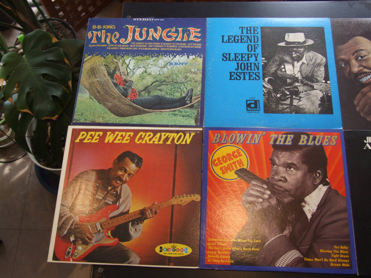 ブルース LP レコード まとめて10枚セット B.B.KING PEE WEE CRAYTON JUNIOR PARKER MENPHIS SLIM etc.の画像1