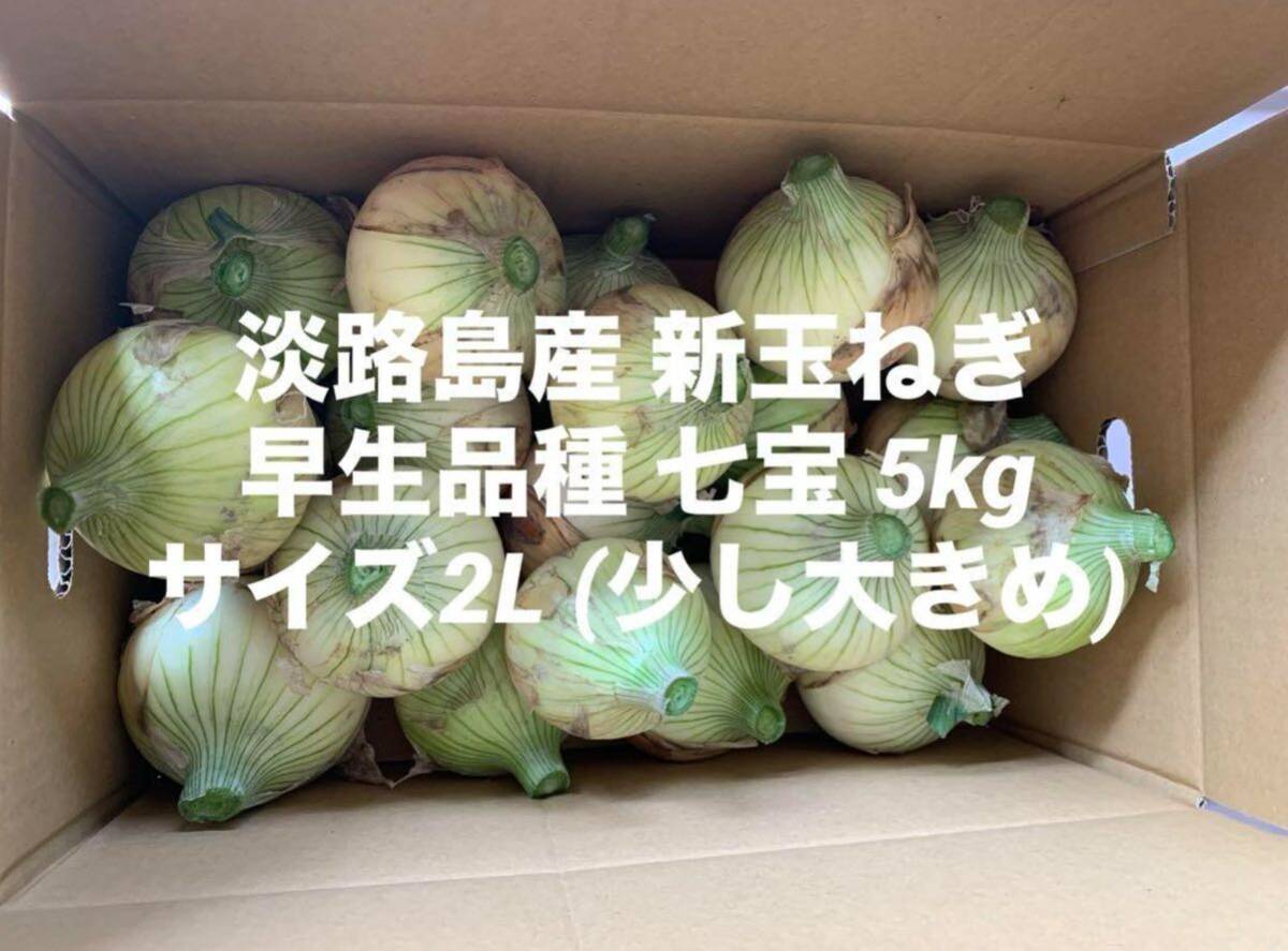  Hyogo prefecture Awaji Island production new sphere leek size 2L little largish 5kg. raw goods kind the 7 treasures .. Awaji Island 