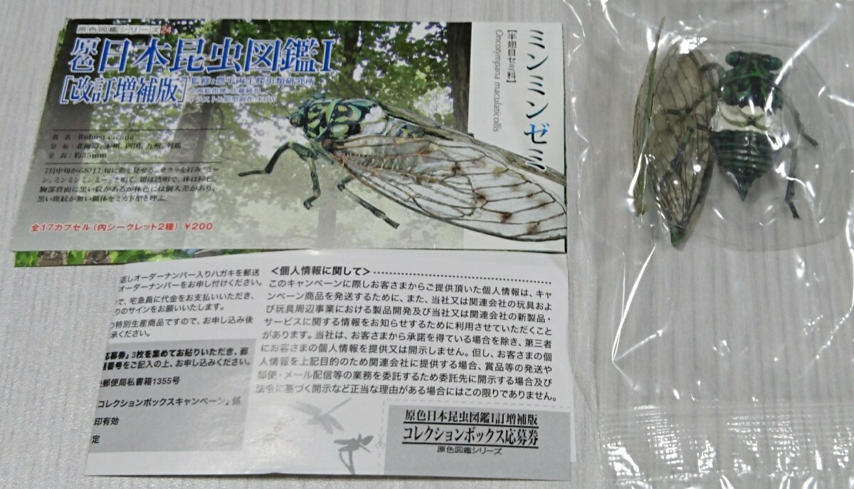 miminzemi. цвет Япония насекомое иллюстрированная книга Ⅰ модифицировано . больше . версия Eugene Yujin не собран нераспечатанный описание документы 