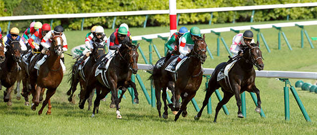 ☆◆中央競馬、芝、3連単、オッズを使わず、儲け重視の価値のある競馬手法！（競艇、競輪より競馬の方が稼げます）の画像1