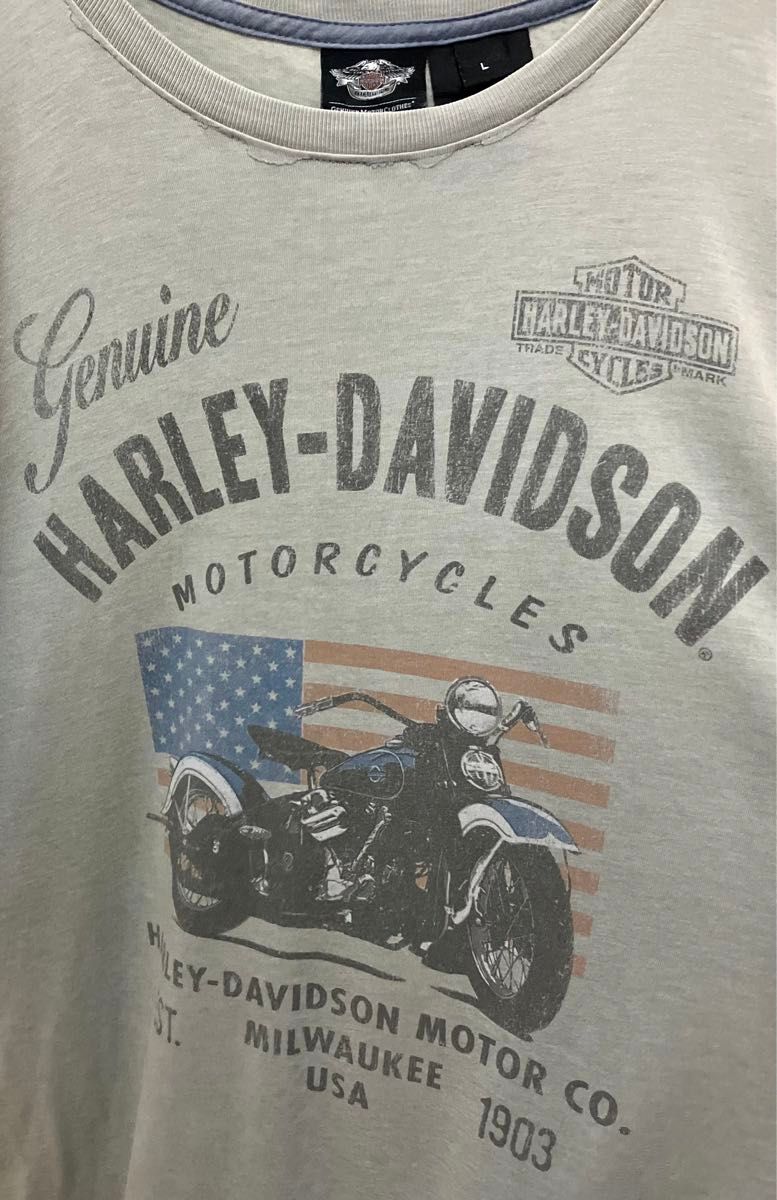 USA製　HARLEY-DAVIDSON ハーレーダビッドソン Tシャツ　ハーレーT オーバーサイズ