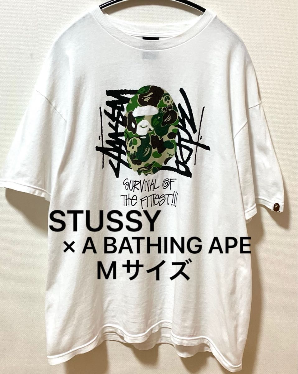 希少 STUSSY × A BATHING APE ステューシー×アベイシングエイプ 希少 STUSSY × A BATHING APE ステューシー×アベイシングエイプ