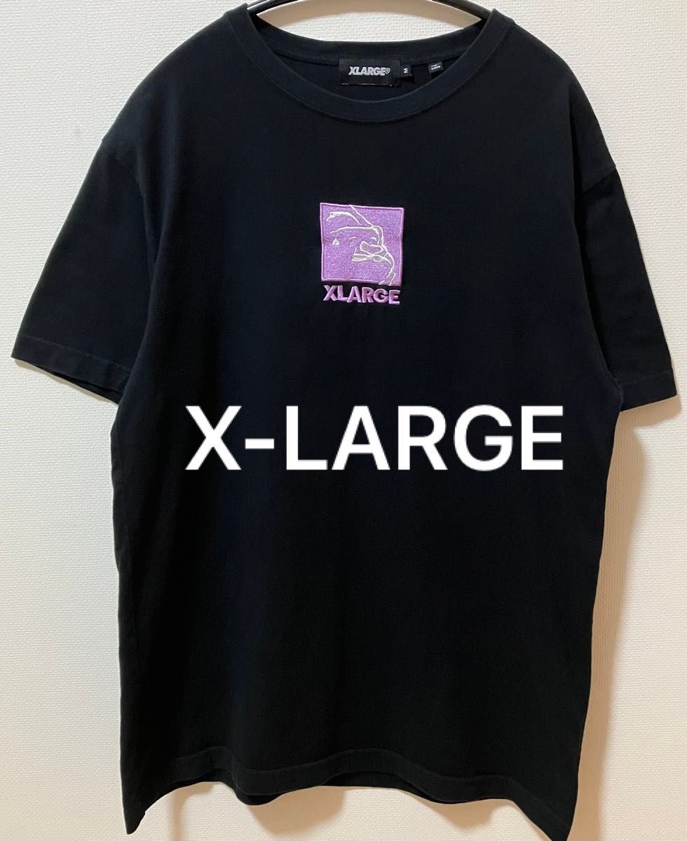 X-LARGE エクストララージ ブランドロゴ刺繍　Tシャツ　状態良好