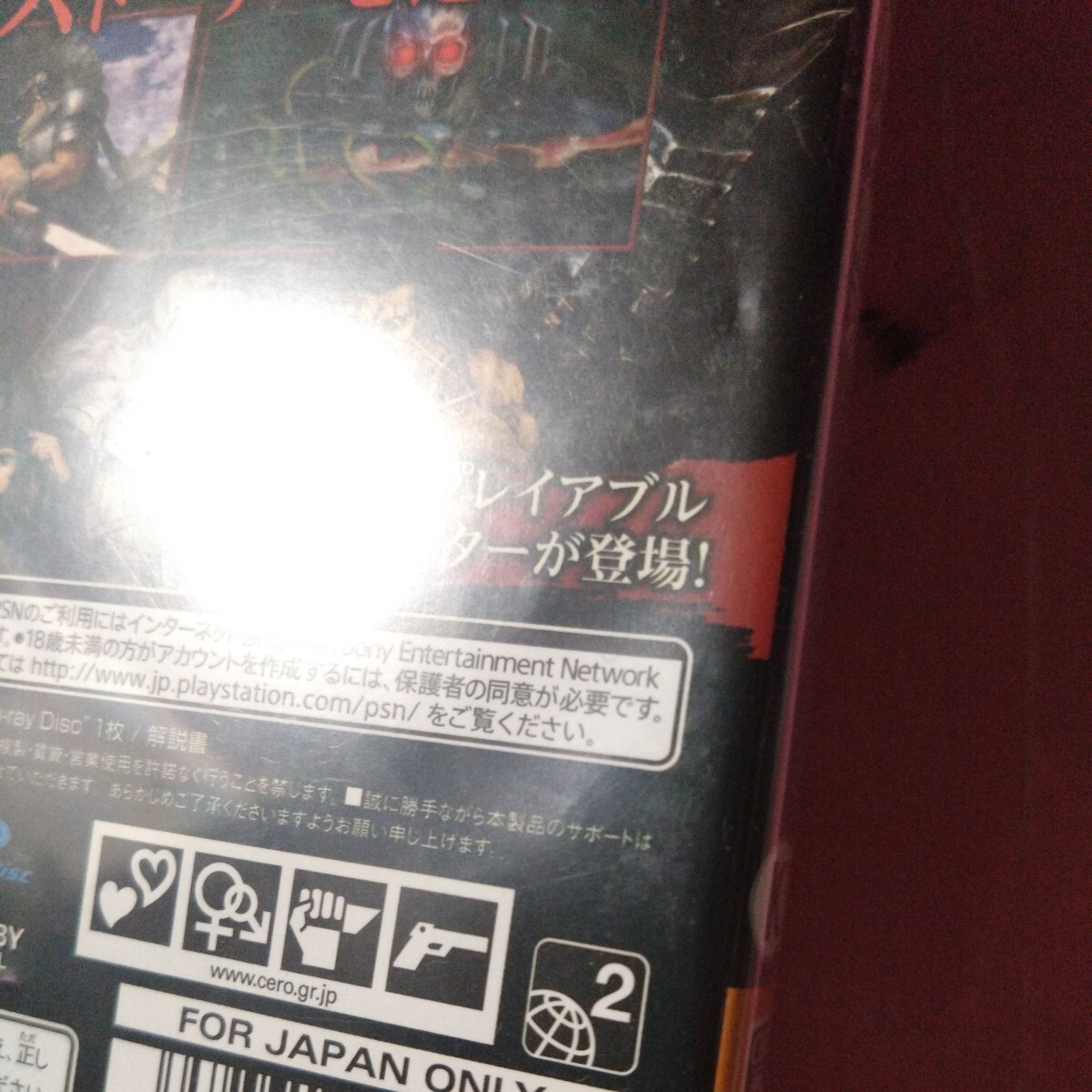 【PS4】 ベルセルク無双_画像4