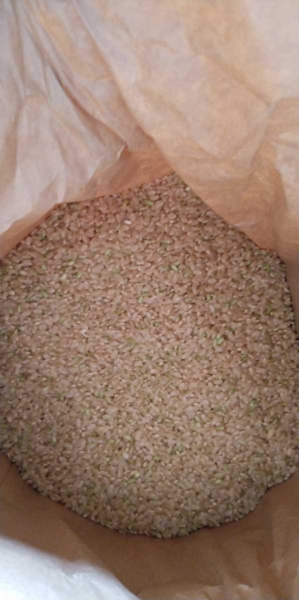 栃木県特一等米ゆうだい21、25キロ無農薬になります。珍しい無農薬のお米を召し上がって見ませんか。もっちり、甘味、ふっくらのゆうだい21の画像7