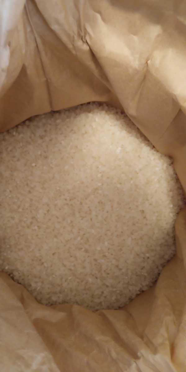 令和5年産新米栃木県特一等米コシヒカリ25キロ無農薬にて作り上げた自慢のお米です。安心、安全のお米です。一単農家、無農薬、_画像8