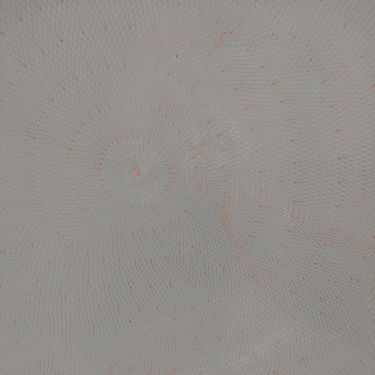 α-BIG 鮎ＭＶＰ鮎タモ アルファビッグ 39cm枠 タモ 黒檀の画像2