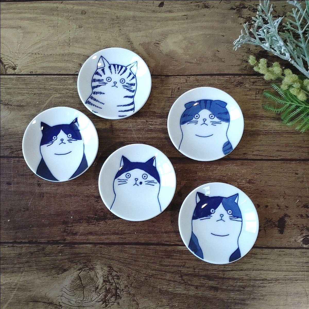 【5枚】新品 日本製 美濃焼 SHICHITA 豆皿 小皿 ねこ ネコ 猫 