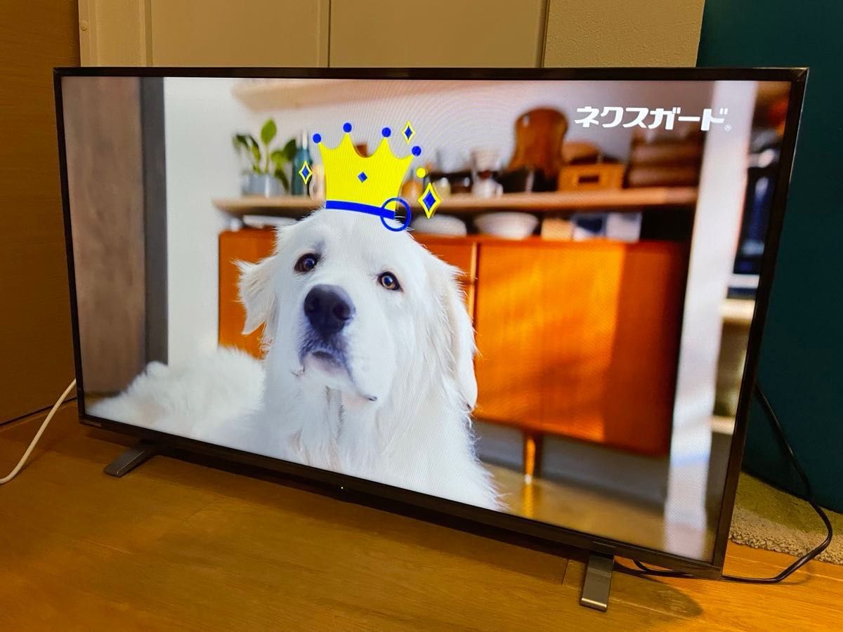 【2023年製】TOSHIBA REGZA ハイビジョン液晶テレビ 40V34