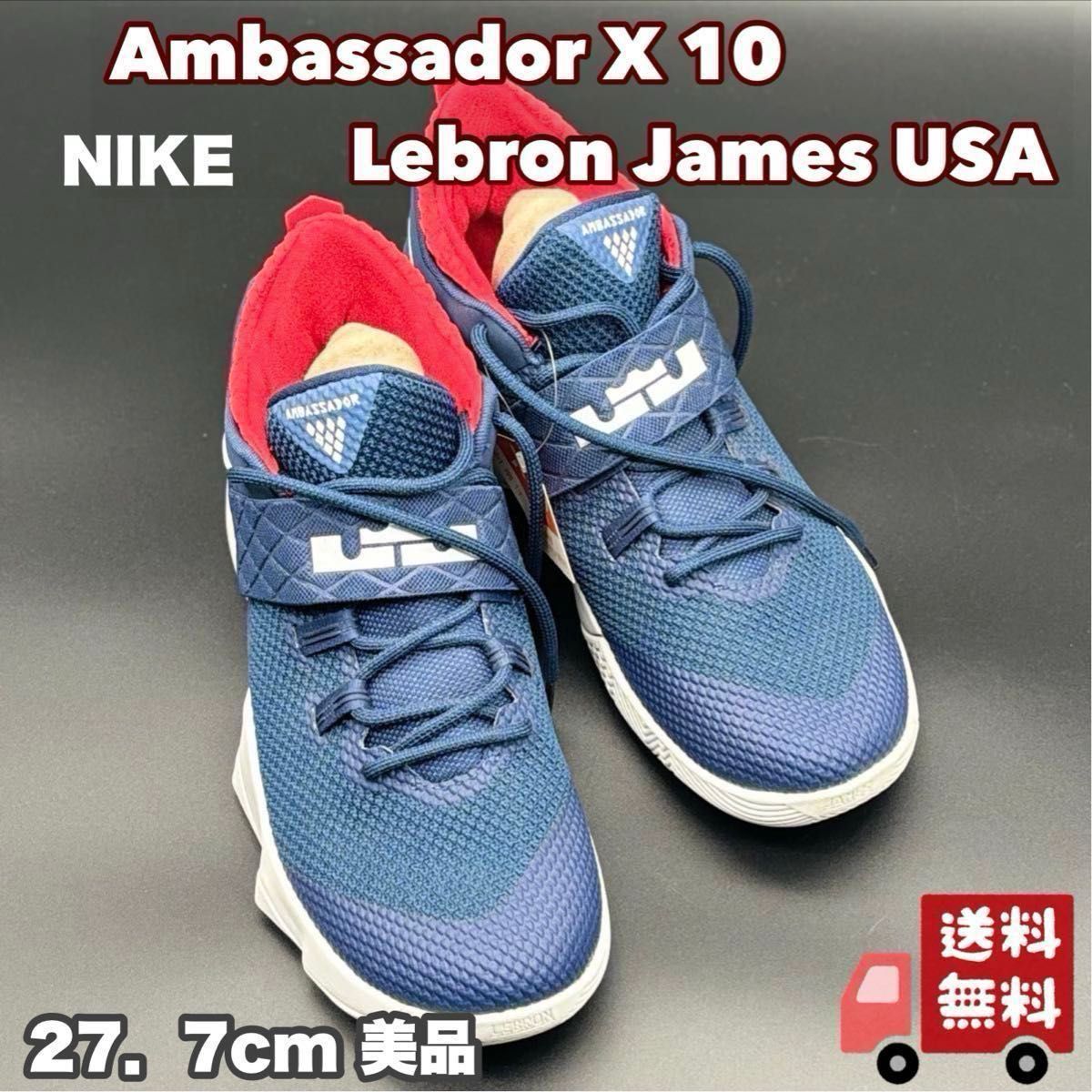 NIKE Ambassador X 10 Lebron James USA スニーカーあ