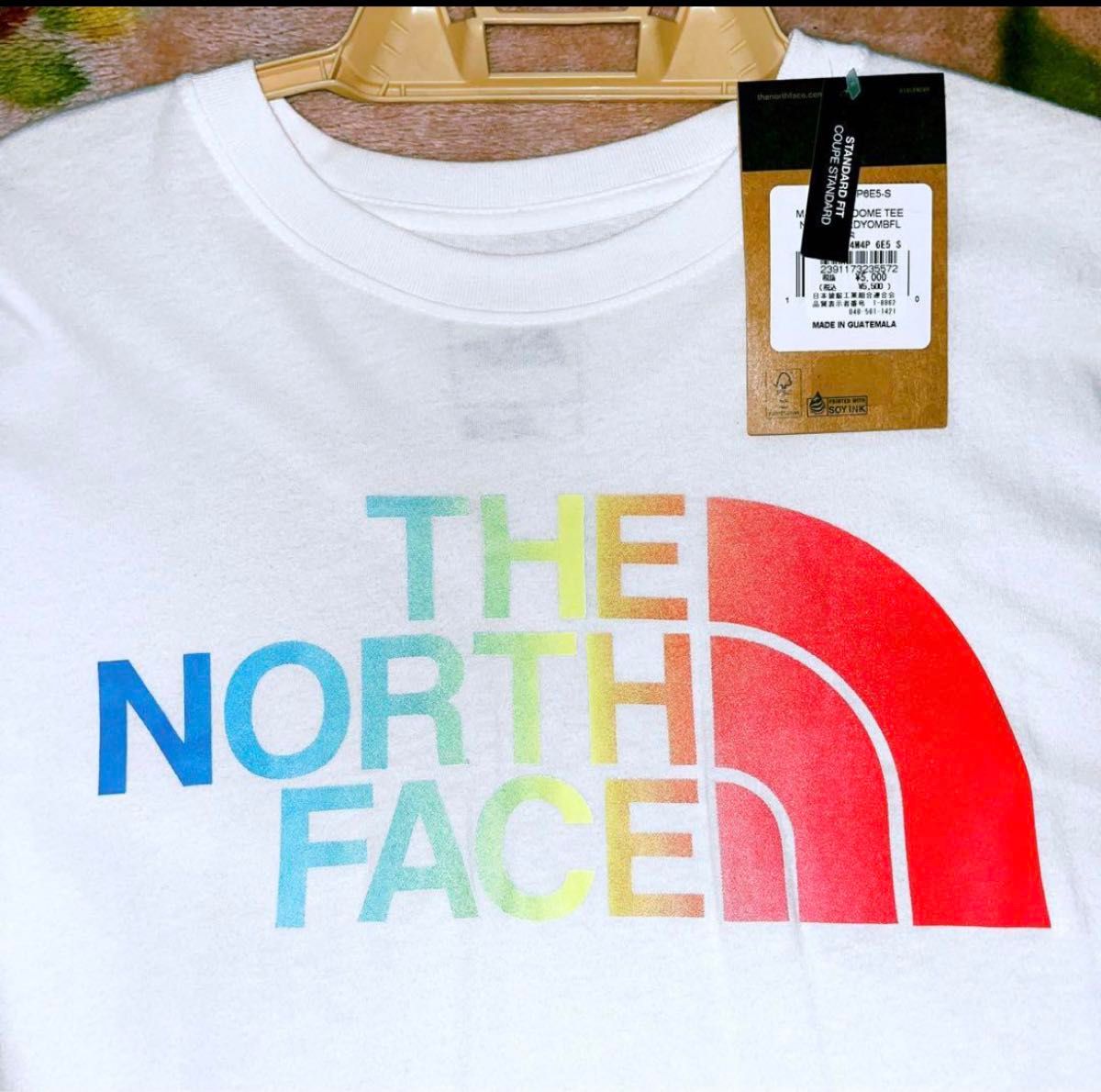 春夏の重ね着に最適単品で暑い日に！希少the north faceザノースフェイスTHE NORTH FACE ホワイトT XL