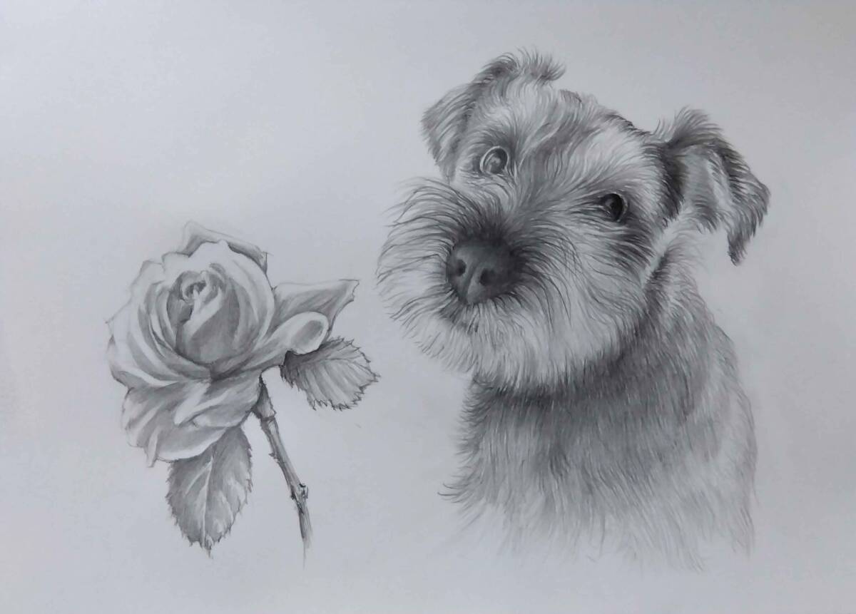 Yahoo!オークション - 絵画・鉛筆画・ 犬の絵 真作「ミニチュア Yahoo!オークション - 絵画・鉛筆画・ 犬の絵 真作「ミニチュア