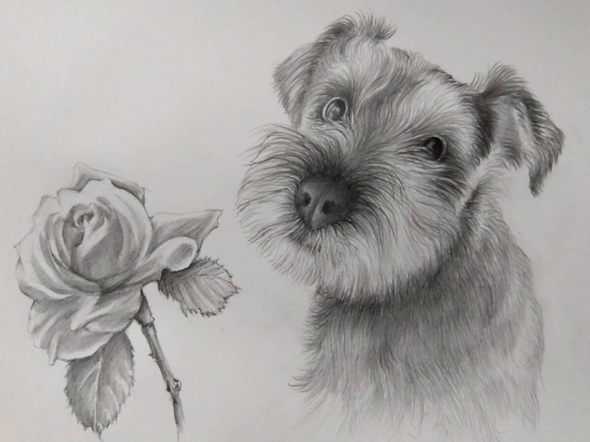 Yahoo!オークション - 絵画・鉛筆画・ 犬の絵 真作「ミニチュア Yahoo!オークション - 絵画・鉛筆画・ 犬の絵 真作「ミニチュア
